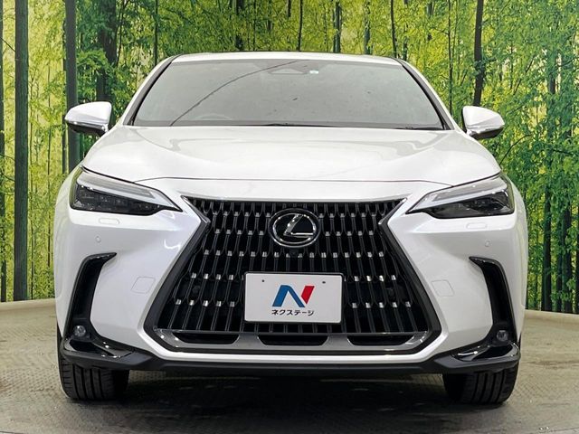 TOYOTA LEXUS NX350H AWD 2023 Image 31