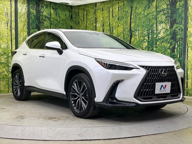 TOYOTA LEXUS NX350H AWD 2023 Image 31