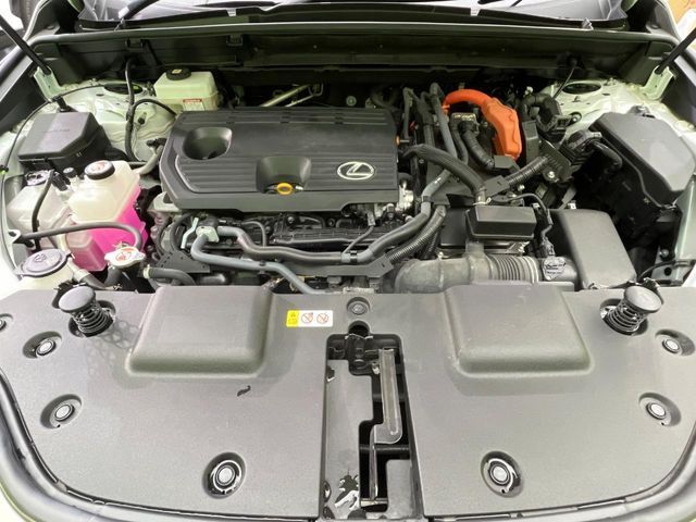 TOYOTA LEXUS NX350H AWD 2023 Image 31