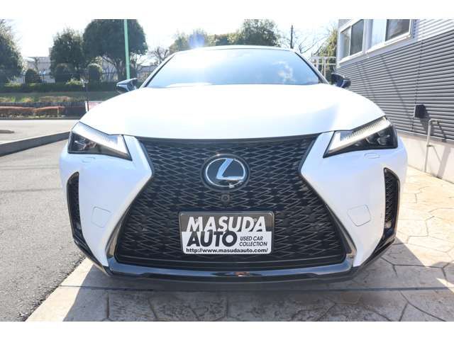 TOYOTA LEXUS UX250H 2023 Image 31