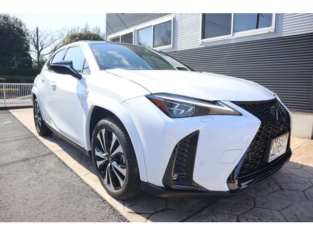 TOYOTA LEXUS UX250H 2023 Image 31