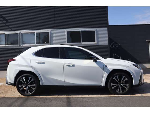 TOYOTA LEXUS UX250H 2023 Image 31