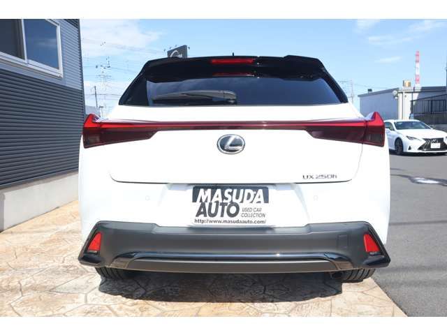 TOYOTA LEXUS UX250H 2023 Image 31