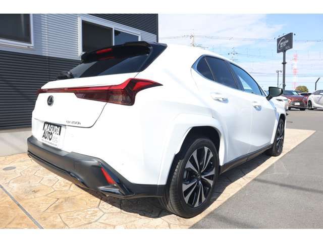 TOYOTA LEXUS UX250H 2023 Image 31