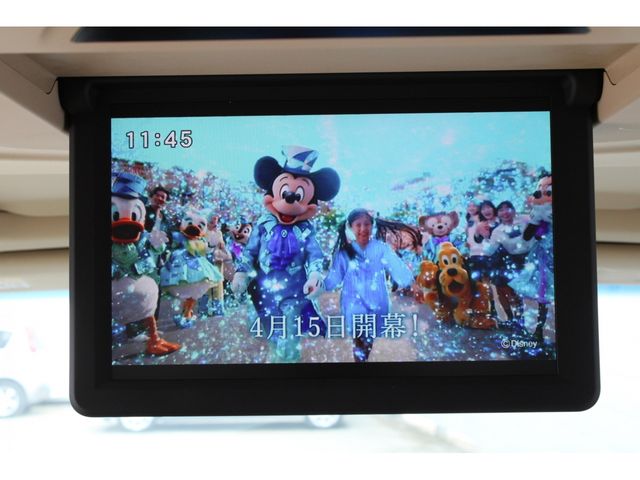 TOYOTA ALPHARD 2016 Image 31