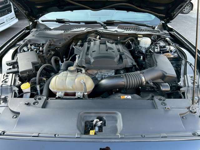 FORD MUSTANG 2017 Image 31