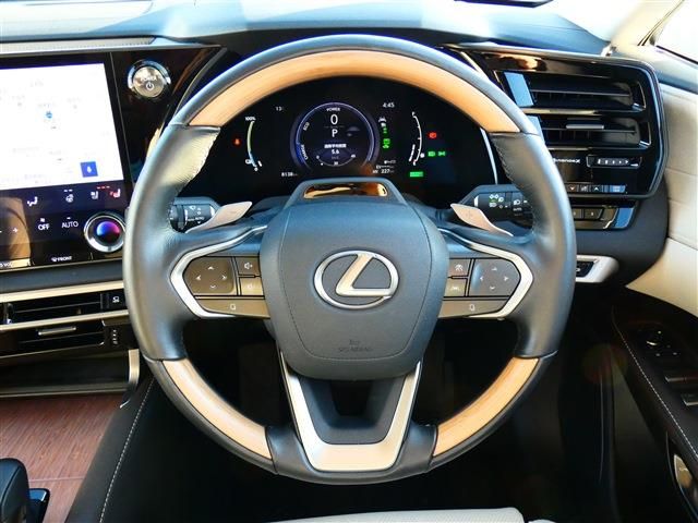 TOYOTA LEXUS RX450H+ 2023 Image 31