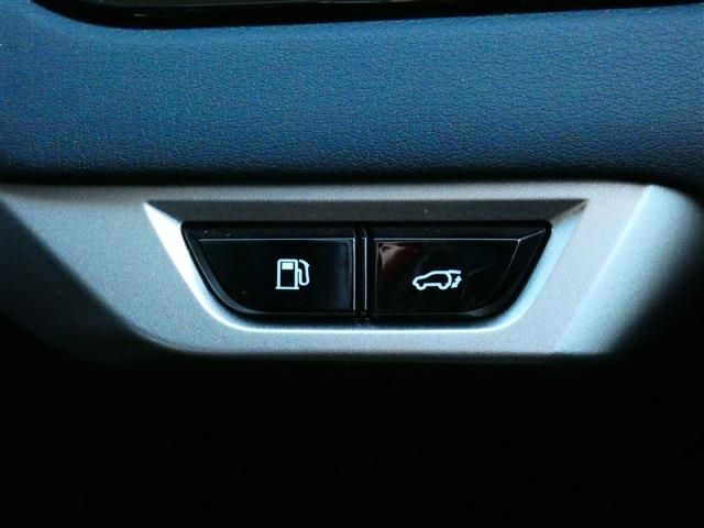 TOYOTA LEXUS RX450H+ 2023 Image 31