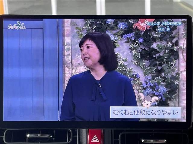 DAIHATSU MOVE CANBUS 2024 Image 31