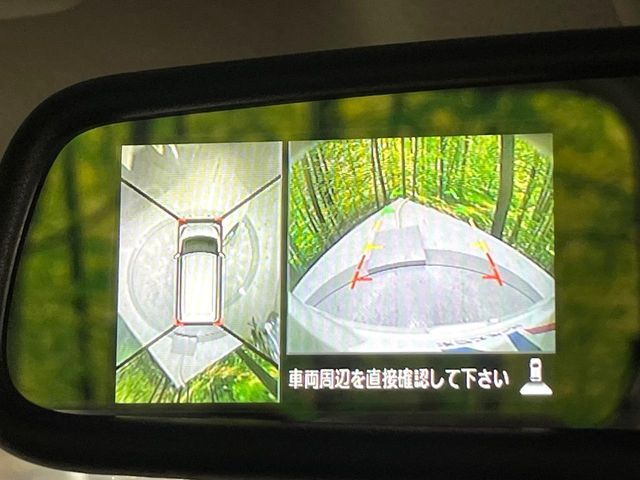 NISSAN DAYZ ROOX 2017 Image 31