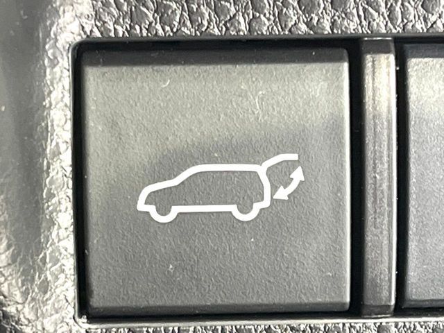 TOYOTA RAV4 4WD 2019 Image 31