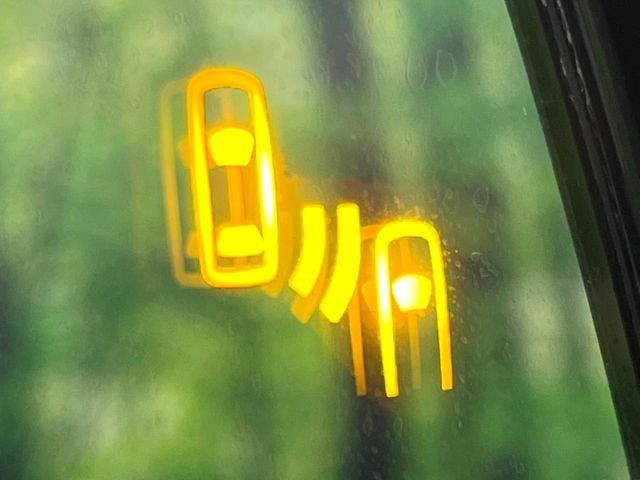 TOYOTA RAV4 4WD 2019 Image 31