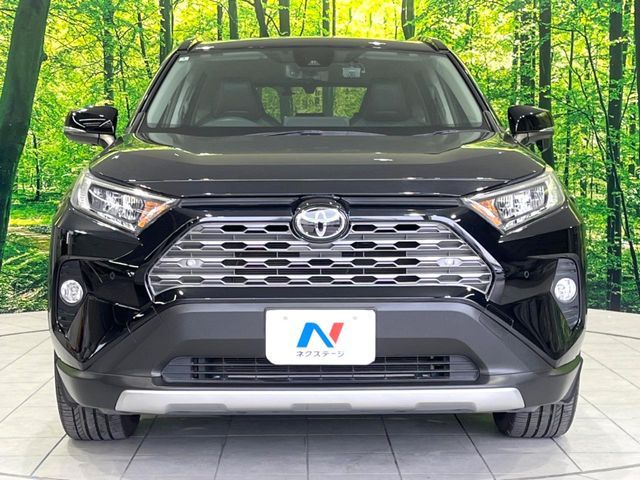 TOYOTA RAV4 4WD 2019 Image 31