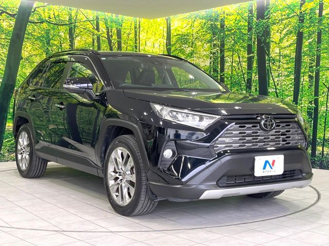 TOYOTA RAV4 4WD 2019 Image 31