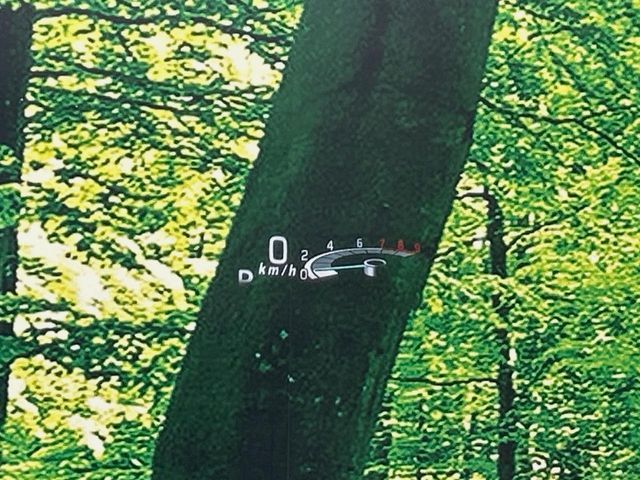 SUZUKI SPACIA 2018 Image 31