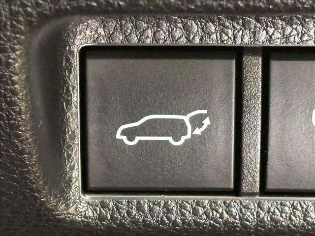 TOYOTA RAV4 HYBRID 4WD 2023 Image 31