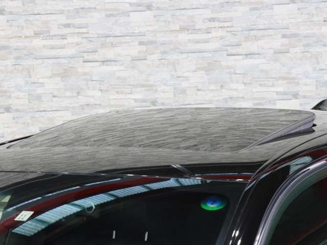 TOYOTA LEXUS LS460 2013 Image 31