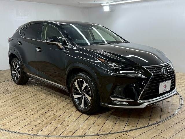 TOYOTA LEXUS NX300 2020 Image 31
