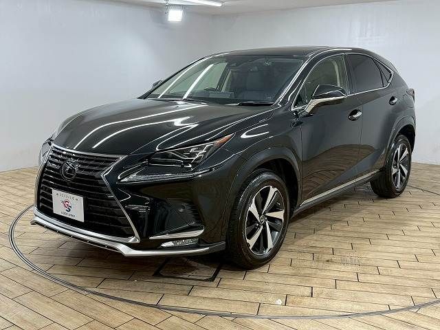 TOYOTA LEXUS NX300 2020 Image 31