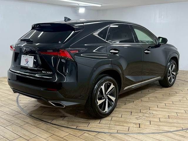 TOYOTA LEXUS NX300 2020 Image 31