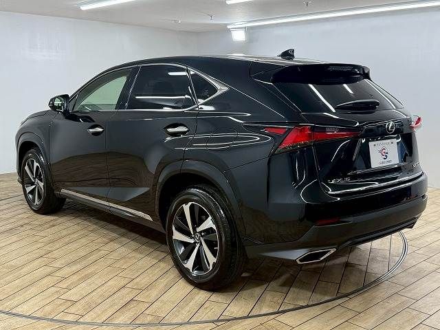 TOYOTA LEXUS NX300 2020 Image 31