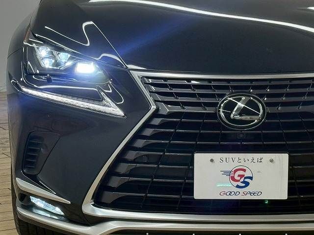 TOYOTA LEXUS NX300 2020 Image 31