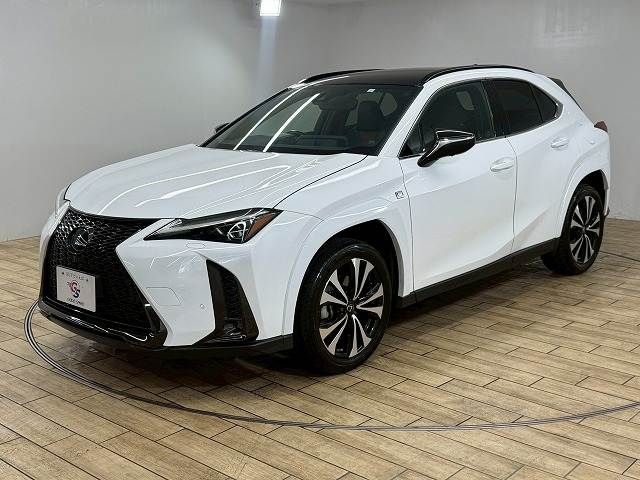 TOYOTA LEXUS UX250H 2023 Image 31