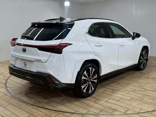 TOYOTA LEXUS UX250H 2023 Image 31