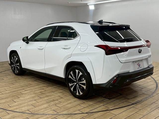 TOYOTA LEXUS UX250H 2023 Image 31