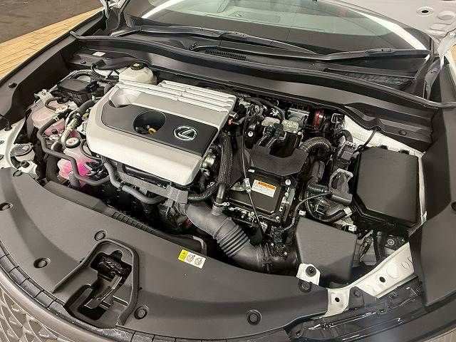 TOYOTA LEXUS UX250H 2023 Image 31