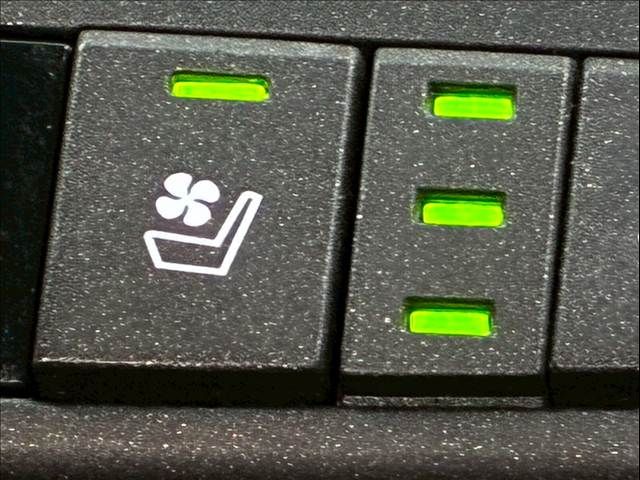 TOYOTA LEXUS NX300H 2020 Image 31