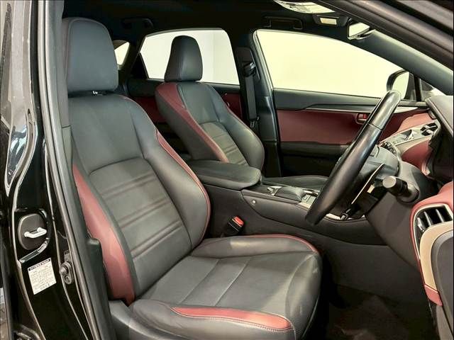 TOYOTA LEXUS NX300H 2020 Image 31