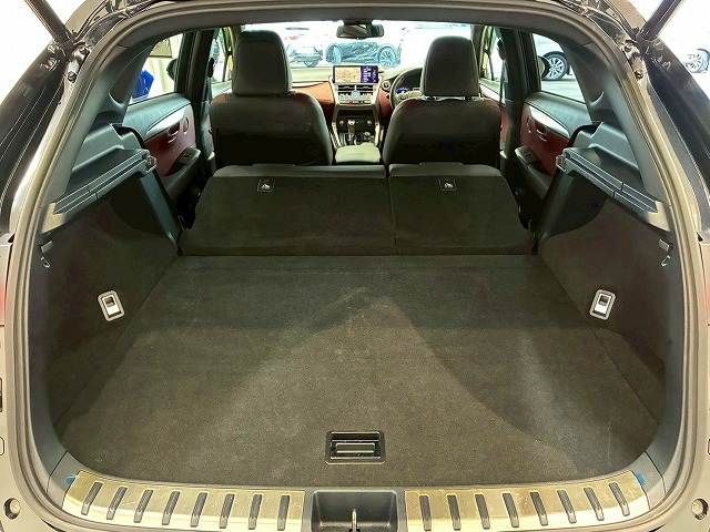 TOYOTA LEXUS NX300H 2020 Image 31