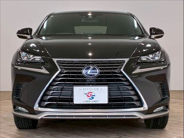 TOYOTA LEXUS NX300H 2020 Image 31