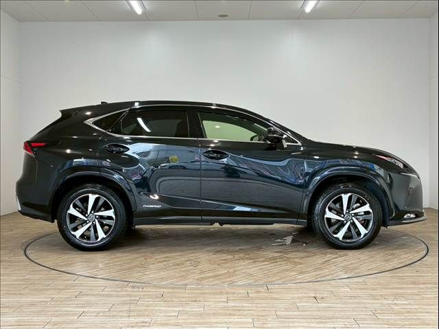 TOYOTA LEXUS NX300H 2020 Image 31