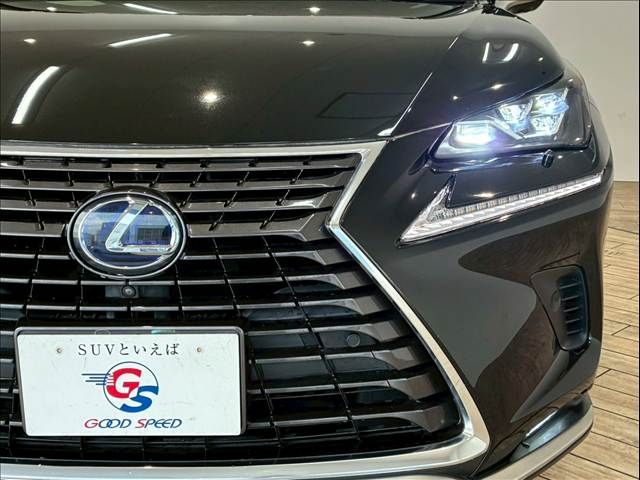 TOYOTA LEXUS NX300H 2020 Image 31