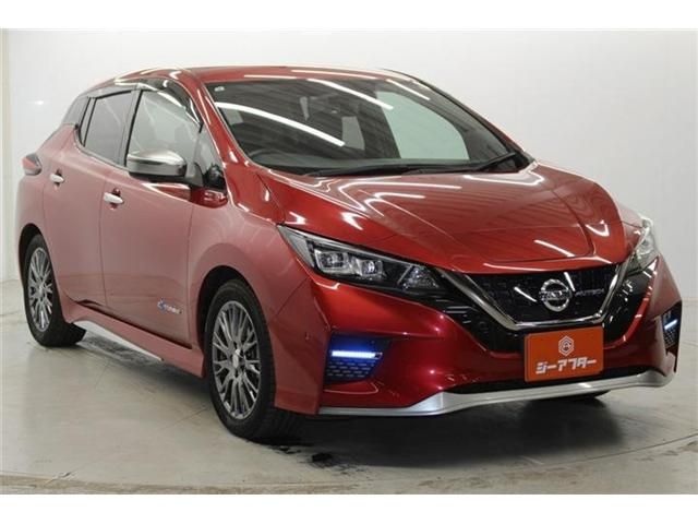 NISSAN LEAF 2019 Image 31