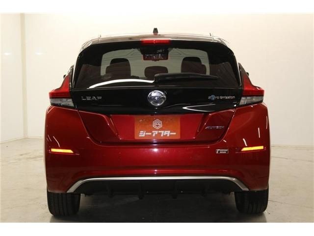 NISSAN LEAF 2019 Image 31