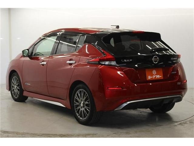 NISSAN LEAF 2019 Image 31