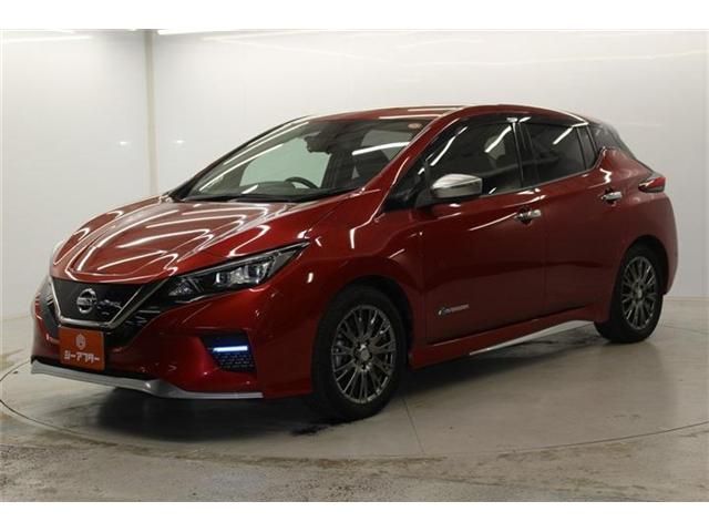 NISSAN LEAF 2019 Image 31