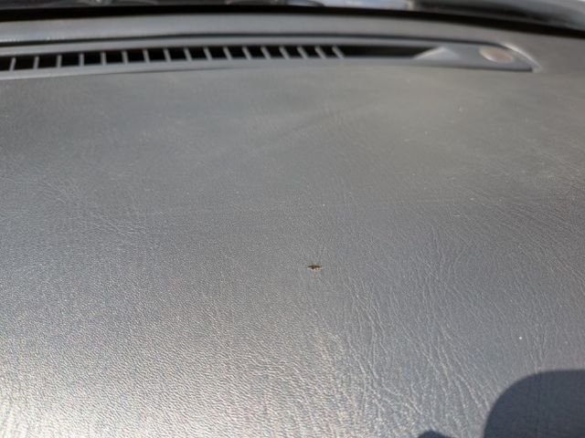 NISSAN CIMA 1996 Image 31