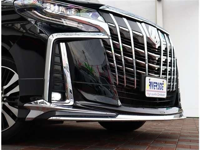 TOYOTA ALPHARD 2023 Image 31