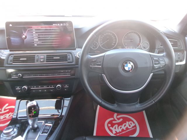 BMW 5SERIES SEDAN 2010 Image 31