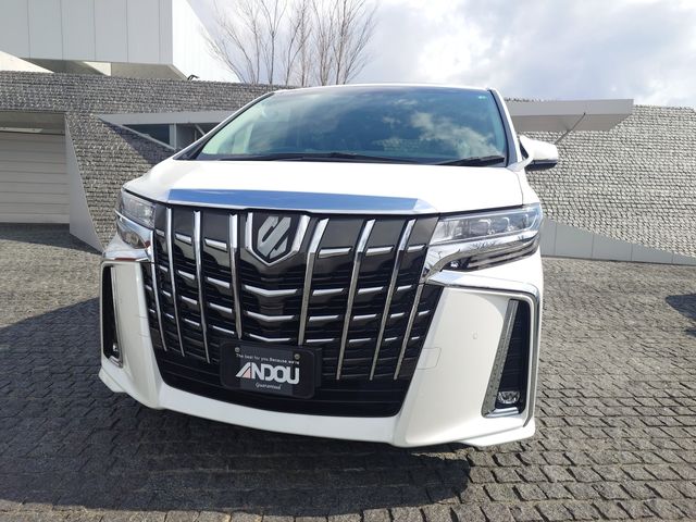 TOYOTA ALPHARD 2019 Image 31