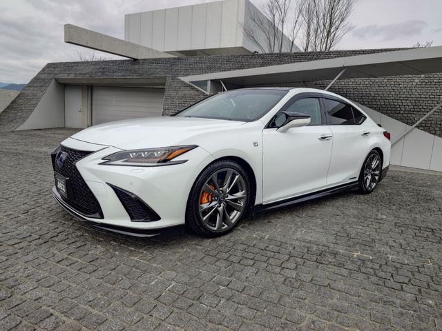 TOYOTA LEXUS ES300H 2019 Image 31