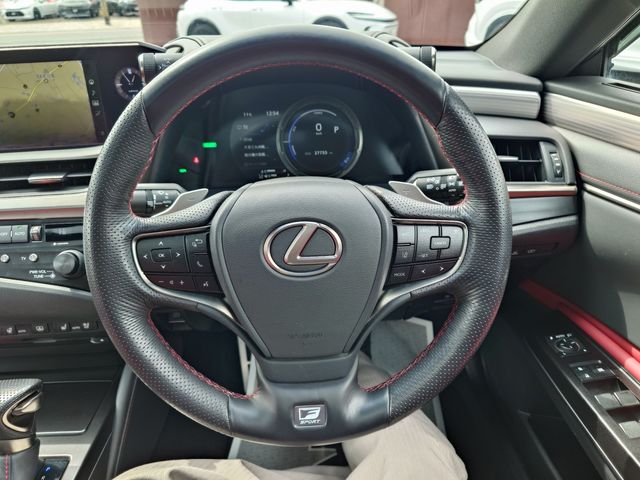 TOYOTA LEXUS ES300H 2019 Image 31