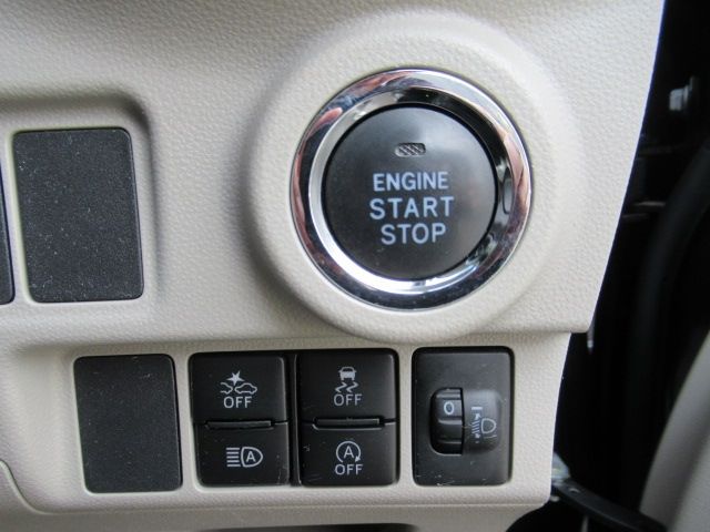 DAIHATSU CAST STYLE 2019 Image 31