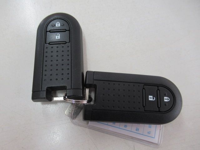 DAIHATSU CAST STYLE 2019 Image 31