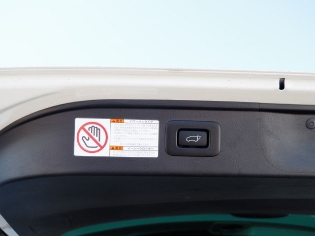 TOYOTA ALPHARD 2022 Image 31