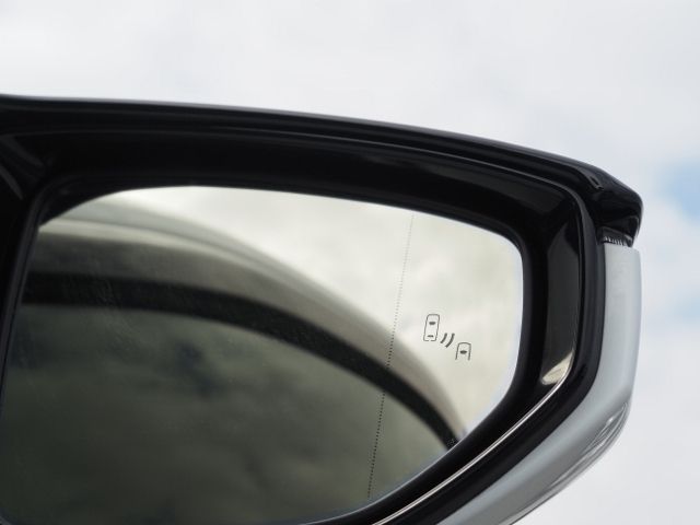 TOYOTA LEXUS UX250H 2021 Image 31